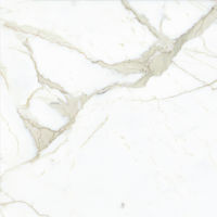 Magnifica 30" x 30" x 1/4" Floor and Wall Tile in Calacatta Super White