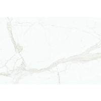 Magnifica Calacatta Super White Porcelain in 1/4"