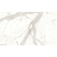 Magnifica Calacatta Super White Porcelain in 1/4"