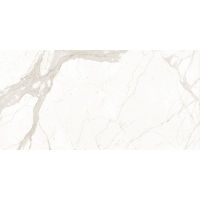 Magnifica Calcatta Super White Porcelain in 1/2"