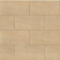 Moonstone 12" x 24" x 5/16" Floor and Wall Tile in Beige