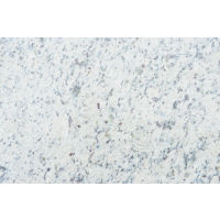 White Dallas Granite in 2 cm