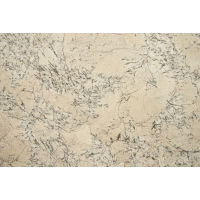 White Reef Granite in 2 cm