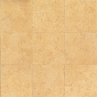 Ambre 18" x 18" x 3/8" Floor and Wall Tile