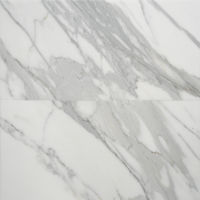 Calacatta Oro 12" x 24" x 3/8 cm Floor and Wall Tile