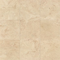 Cappuccino 12" x 12" x 3/8" Wall Tile