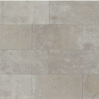 Blende 12" x 24" x 3/8" Floor and Wall Tile in Brume