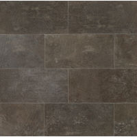 Blende 12" x 24" x 3/8" Floor and Wall Tile in Piceous