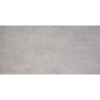Parkland 24" x 48" x 3/8" Floor and Wall Tile in Arctic