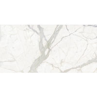 Plane Calacatta Porcelain in 1/4"