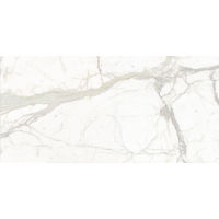 Plane Classico (Calacatta) Porcelain in 1/4"