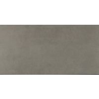 Sky 12" x 24" x 3/8" Floor and Wall Tile in Cloudsky