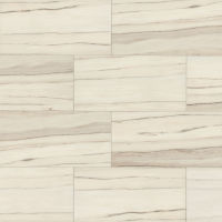 Zebrino 12" x 24" x 3/8" Floor and Wall Tile in Calacatta