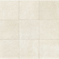 Marfil 20" x 20" x 5/16" Floor and Wall Tile in Alabaster