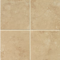 Roma 6" x 6" x 3/8" Floor and Wall Tile in Beige