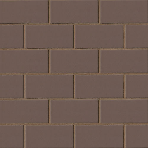 Costa Allegra 3" x 6" x 5/16" Floor and Wall Tile in Timber