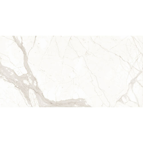 Magnifica Calcatta Super White Porcelain in 1/2"