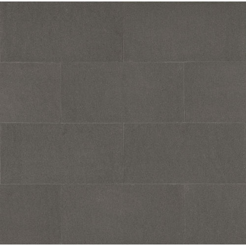 Absolute Black 12" x 24" Floor & Wall Tile