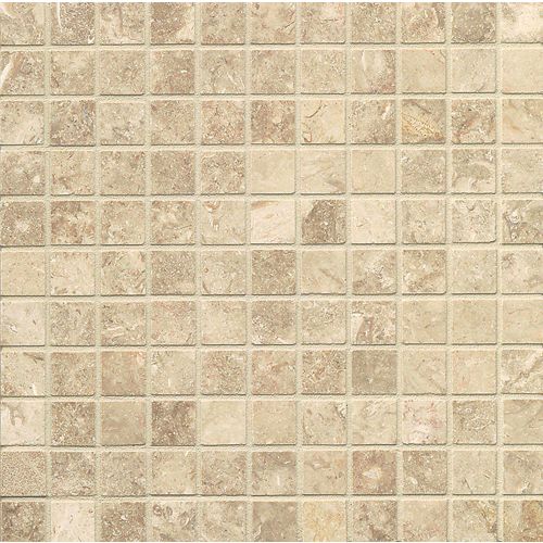 Camargo Venezia 1" x 1" Floor & Wall Mosaic