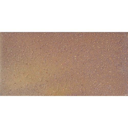 Metropolitan 4" x 8" x 1/2" Floor and Wall Tile in Aztec