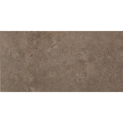 Tribal 12" x 24" x 5/16" Floor and Wall Tile in Greenwich