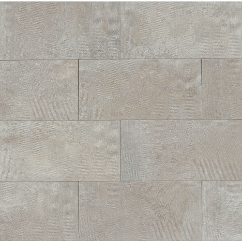 Blende 12" x 24" Floor & Wall Tile in Brume
