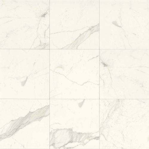 Classic 18" x 18" Floor & Wall Tile in Statuarietto