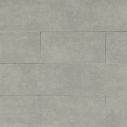 Parkland 12" x 24" x 3/8" Floor and Wall Tile in Arctic
