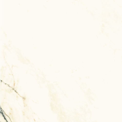 Plane 60" x 60" Floor & Wall Tile in Paonazzetto Vena