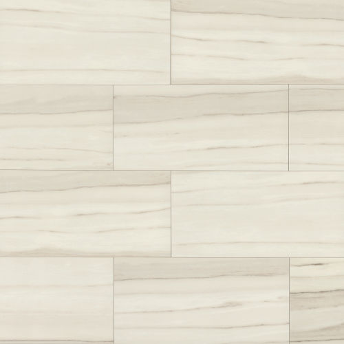Zebrino 12" x 24" Floor & Wall Tile in Michelangelo