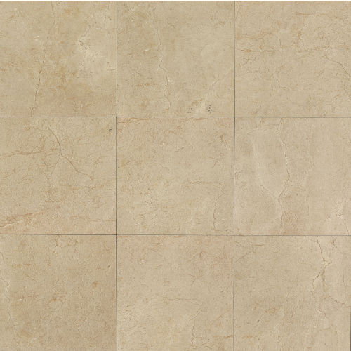 Marfil 12" x 12" x 3/8" Floor and Wall Tile in Crema