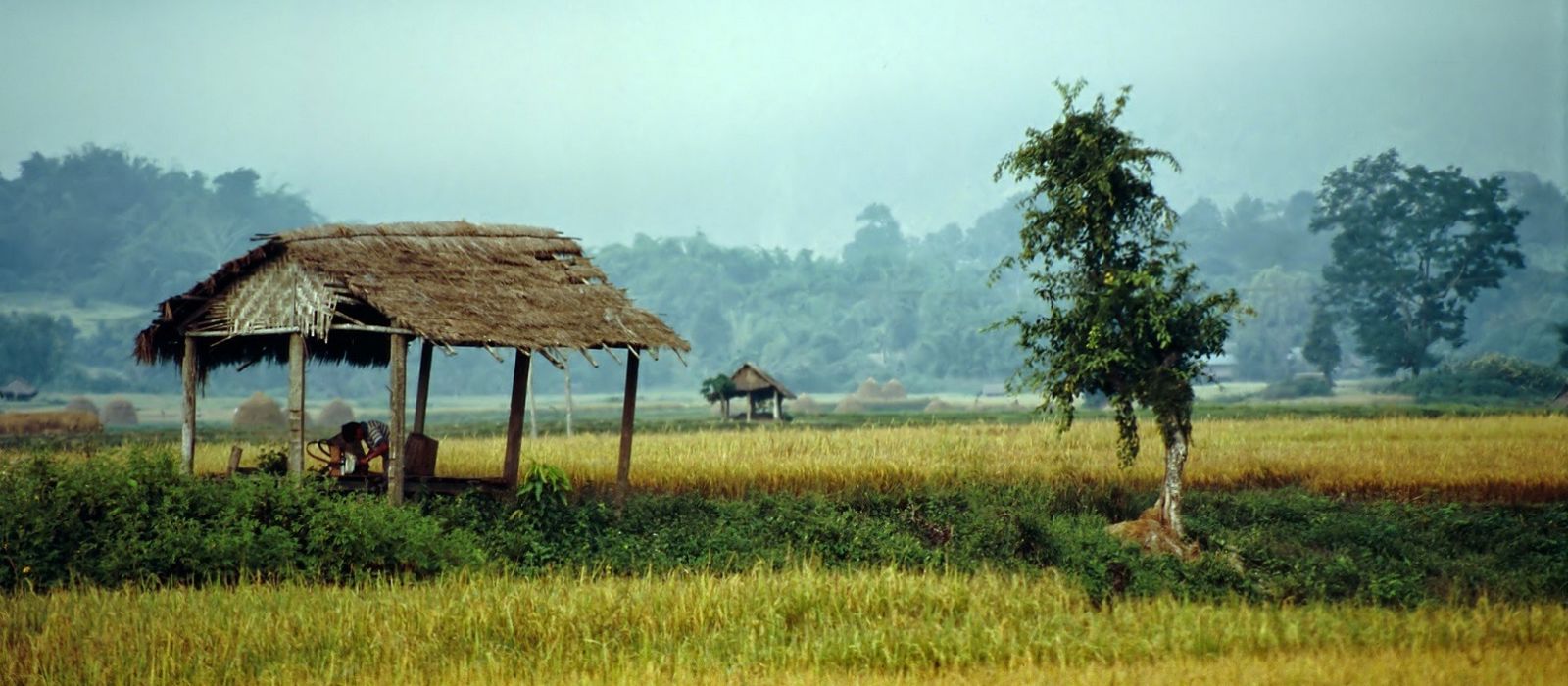 Exclusive Travel Tips For Your Destination Hsipaw In Myanmar