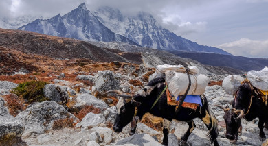 私人旅游示例:西藏和尼泊尔:喜马拉雅亮点 私人旅游示例:西藏和尼泊尔:喜马拉雅亮点
