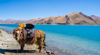 私人旅游示例:世界屋顶–加德满都和拉萨 私人旅游示例:世界屋顶–加德满都和拉萨