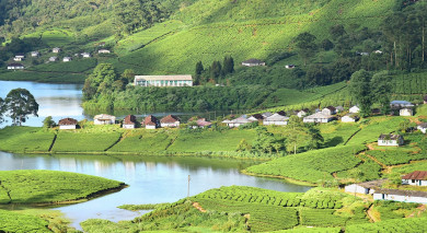 私人旅游示例:喀拉拉邦:寺庙,茶园和死水 私人旅游示例:喀拉拉邦:寺庙,茶园和死水
