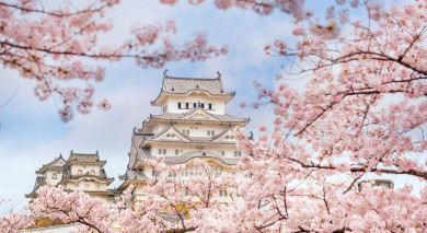 私人旅游示例:日本大巡游和苏梅岛海滩 私人旅游示例:日本大巡游和苏梅岛海滩