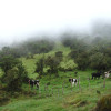 A student studying abroad with SIT Ecuador: Comparative Ecology & Conservation