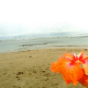 A student studying abroad with University of Northern Iowa: Traveling - UNI Capstone in Costa Rica