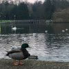 A student studying abroad with University of Birmingham: Birmingham - Direct Enrollment & Exchange