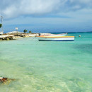 CIEE: Bonaire - Summer Tropical Marine Ecology & Conservation Photo