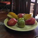 Study Abroad Programs in Costa Rica Photo