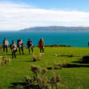 The Education Abroad Network: Wellington - Victoria University of Wellington Photo