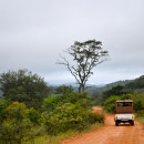 Organization for Tropical Studies (OTS): South Africa - African Ecology and Conservation Photo