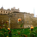 University College London (UCL): London - Direct Enrollment & Exchange Photo