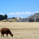 SIT Peru: Indigenous Peoples & Globalization Photo