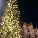 IES Abroad: Milan - IES Abroad in Milan Photo