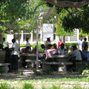 Study Abroad Reviews for University of Dar es Salaam: Dar es Salaam - Direct Enrollment & Exchange
