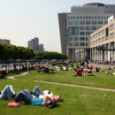 Study Abroad Reviews for The Hague University of Applied Sciences: The Hague - International Summer School