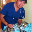 Study Abroad Reviews for Volunteer Guatemala Xela: Animal Rescue Program