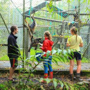 Study Abroad Reviews for API (Academic Programs International): Volunteer Abroad Programs in Ecuador 